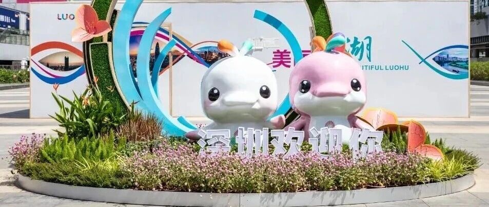 是“大灣雞”魔法，還是“數(shù)字及廣告標(biāo)識(shí)”行業(yè)新秘籍？